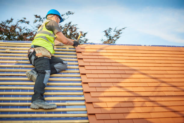 Roof Moss and Algae Removal in Imperial, CA